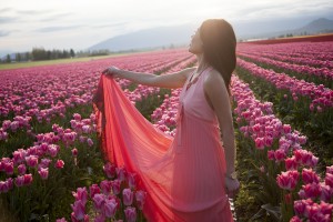Tulip Field Pink Dress